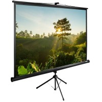 Напольный рулонный экран Cactus TriExpert CS-PSTE-200x200-BK, 200х200 см, 1:1