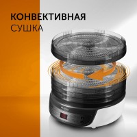 Сушилка для овощей и фруктов RED solution RFD-0122