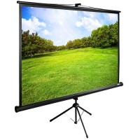 Напольный экран CACTUS 150x200 CS-PSTE-200x150-BK