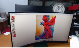31.5" Монитор LG UltraGear 32GS60QC-B