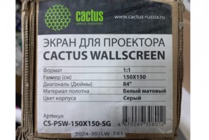 Экран Cactus 150x150см Wallscreen CS-PSW-150X150-SG 1:1