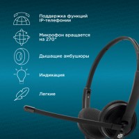 Наушники с микрофоном HS-L900