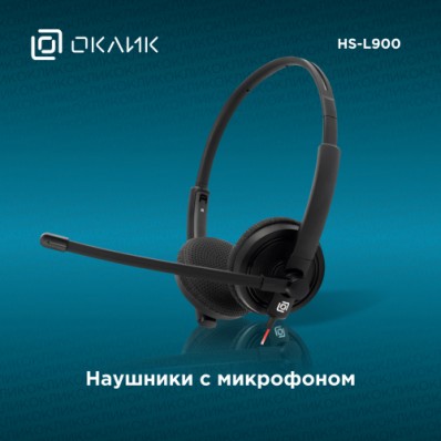 Наушники с микрофоном HS-L900